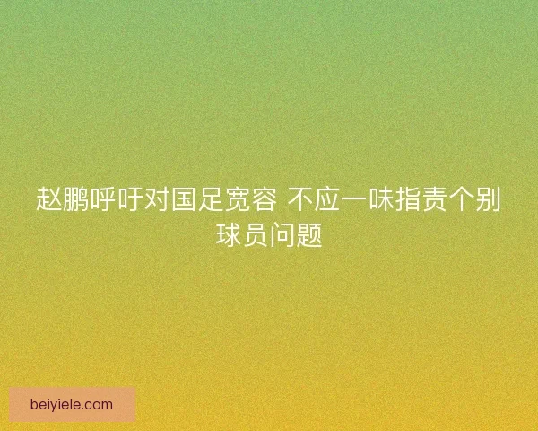 赵鹏呼吁对国足宽容 不应一味指责个别球员问题